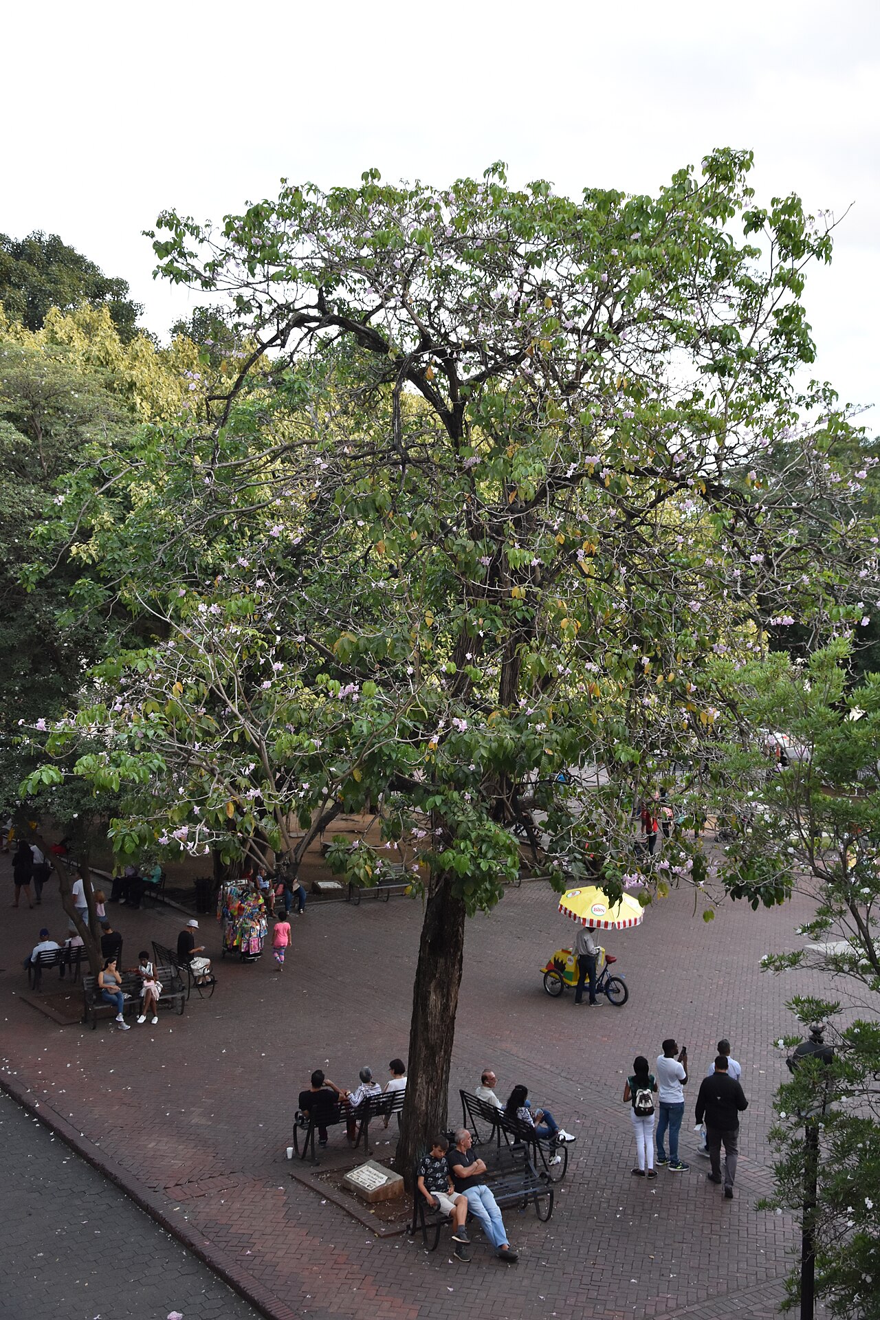 El parque Colón en la Ciudad Colonial de Santo Domingo