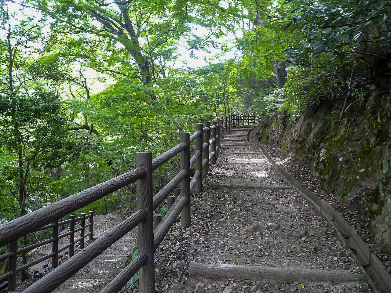 Un sendero de subida del monte Wakakusa en Nara