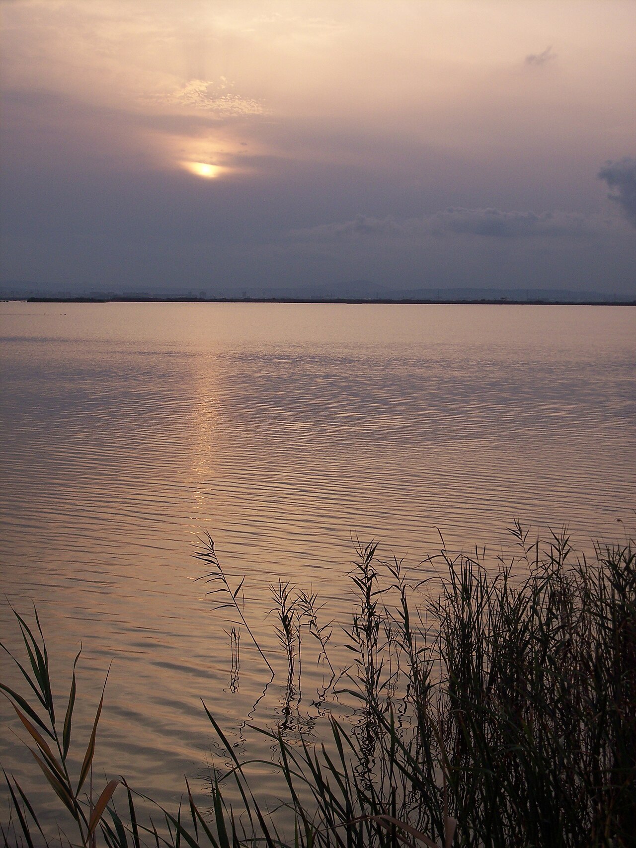 Parque Natural de la Albufera · Valencia